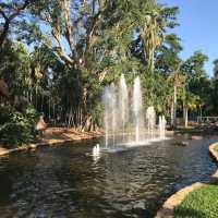 Discovering Darwin