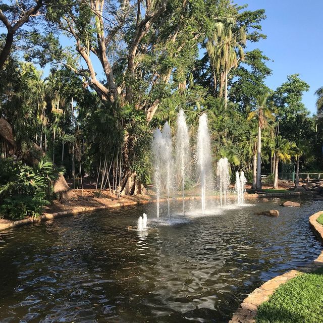 Discovering Darwin