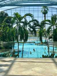 수영장과 온천 하나로 테르메 Therme