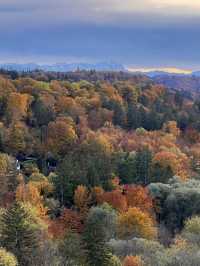 Autumn in Grunwald 🍻