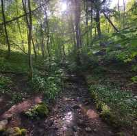 A journey through Middle Earth 