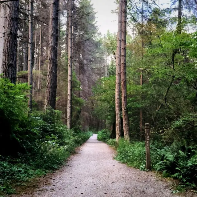 สแตนลีย์พาร์คในแวนคูเวอร์