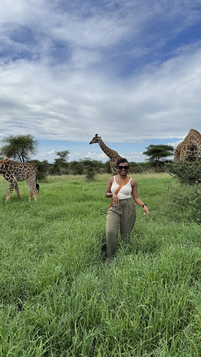 EXPLORE THE ANIMAL SANCTUARY IN TANZANIA