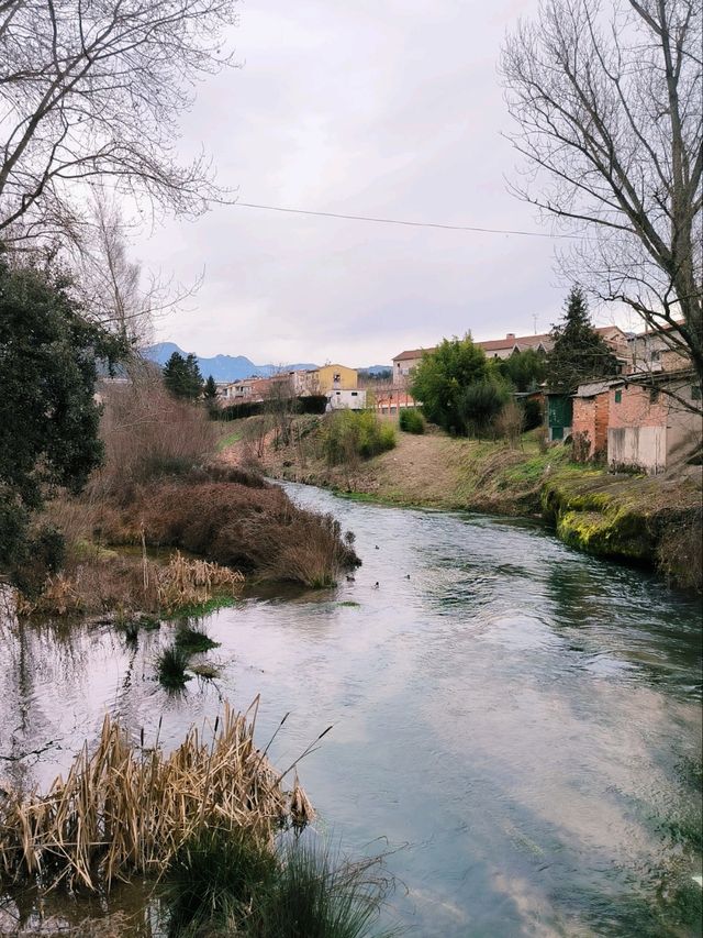 🌳 Discover the Beauty of Riera del Llobregat Park Near Berga 🌊✨