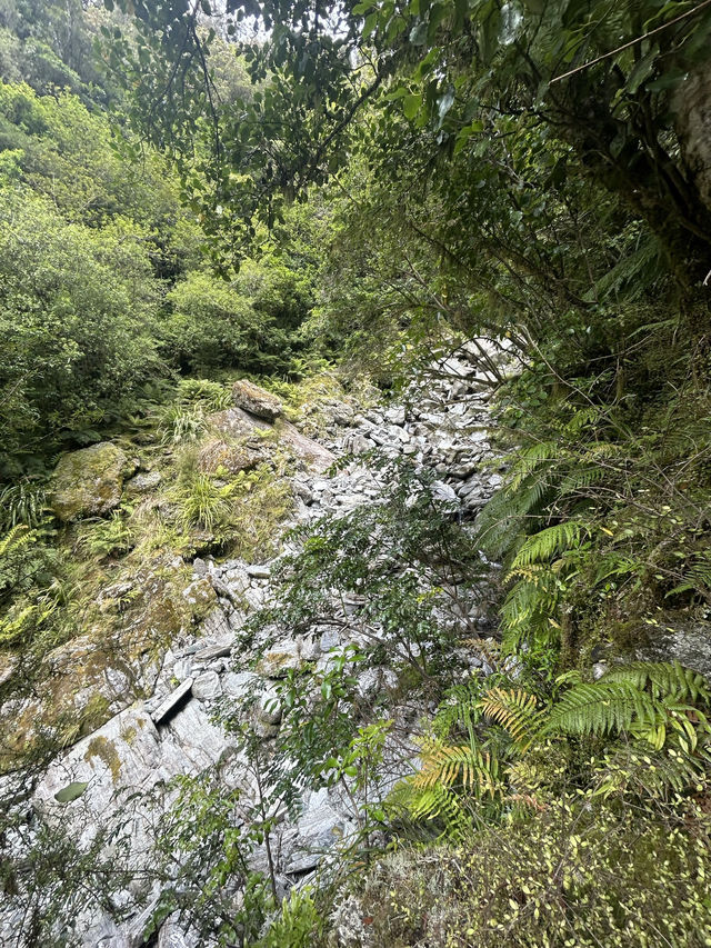 🥾❄️ Hike to Franz Josef Glacier: A Breathtaking Alpine Adventure