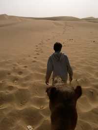 Camel Safari in Jaisalmer: A Journey Through the Thar Desert