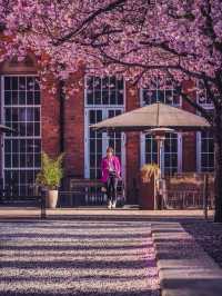 Top Spring Photo Shoot Locations in Birmingham 📸🌸