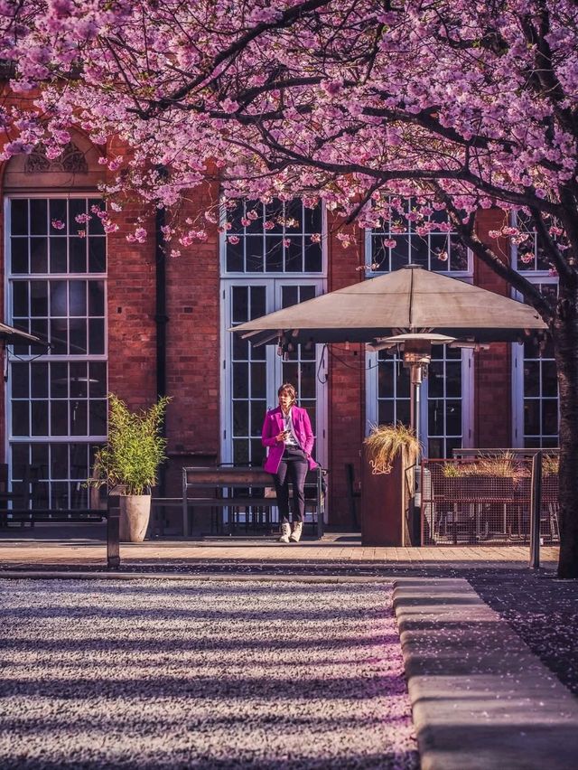 Top Spring Photo Shoot Locations in Birmingham 📸🌸