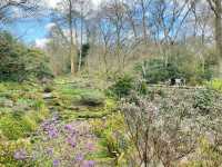 Springtime in Birmingham: From The Vale to Winterbourne Gardens