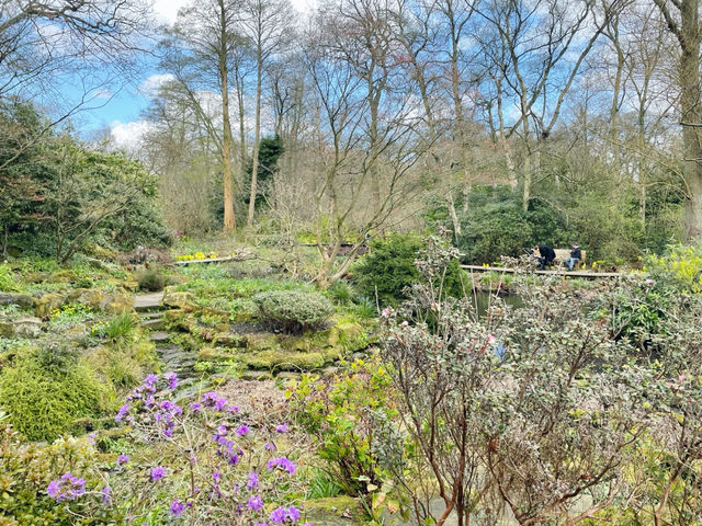 Springtime in Birmingham: From The Vale to Winterbourne Gardens