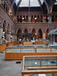 Fossils and Foundations: Discovering Oxford's Natural Wonders