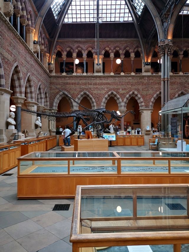 Fossils and Foundations: Discovering Oxford's Natural Wonders