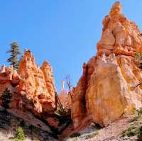 🎢 Bryce Canyon Transportation Tips: How to Ride, Park & Explore Hoodoo Country Like a Pro 🏞️🚌