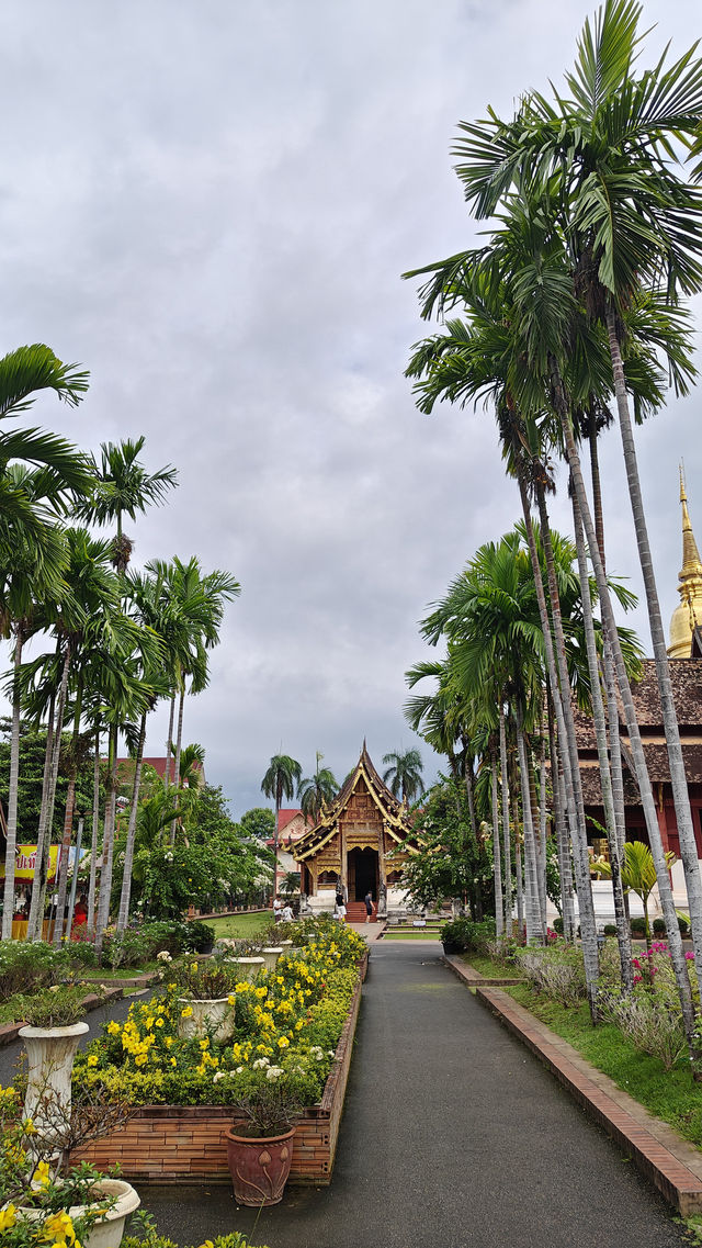 Temples, Nature & Cafés: Why Everyone Falls for Chiang Mai 🏯🌿☕