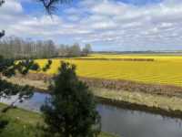 Jet2 to the Netherlands: Cubes, Canals, and Curious Towers