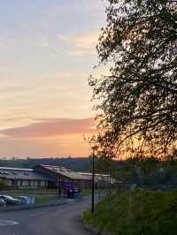 Lampeter: A Quiet Welsh Gem with a Gentle Soul