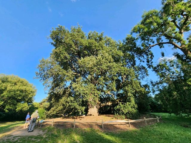 Summer at Kew's Garden