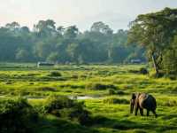 Have a magical trip to Nepal, the land of Everest!