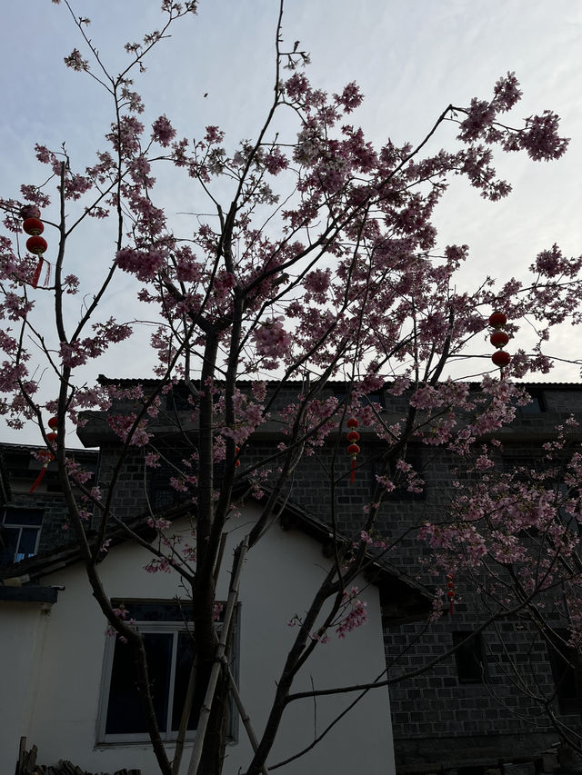 🏮🌿 Anyi Whispers: Step into Jiangxi’s 600-Year-Old Watercolor Dream!