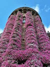🏰✨ “Romantic Escape: Discovering Château de Castel Novel” 🇫🇷