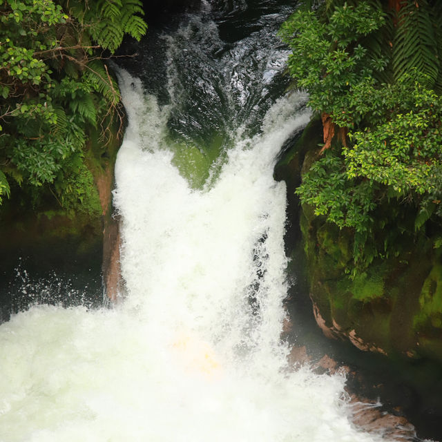 The Absolute Ride Of My Life At Rotorua Rafting, The Highest Raft-able Waterfall In the World!