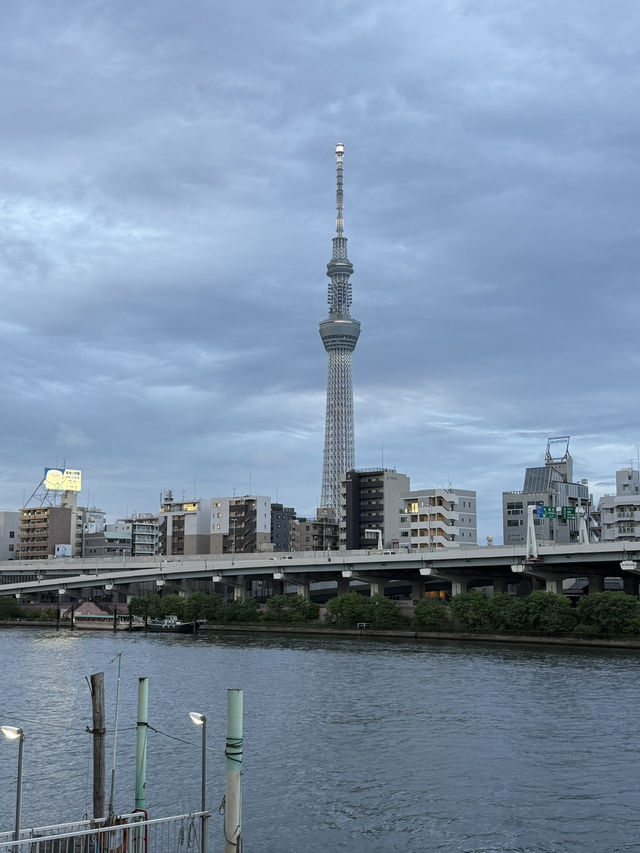 🌆 Токио Скайтри: Вершина небес в сердце мегаполиса! 🏙