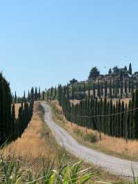 Mediterranean dreams of cypress roads? Visit this Italian village