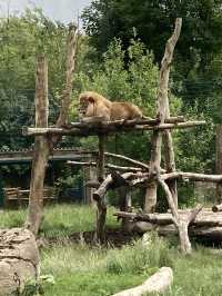 Blackpool Zoo