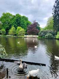 Spooky Halloween in Oldenburg: Sights & Activities! 👻