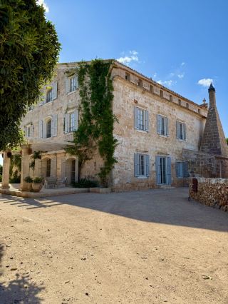 Sunny Ruins Guide🌞