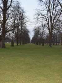 A Peaceful Day Trip to Richmond Park: London’s Countryside Escape 🌳