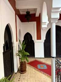 Nights of Lantern Light