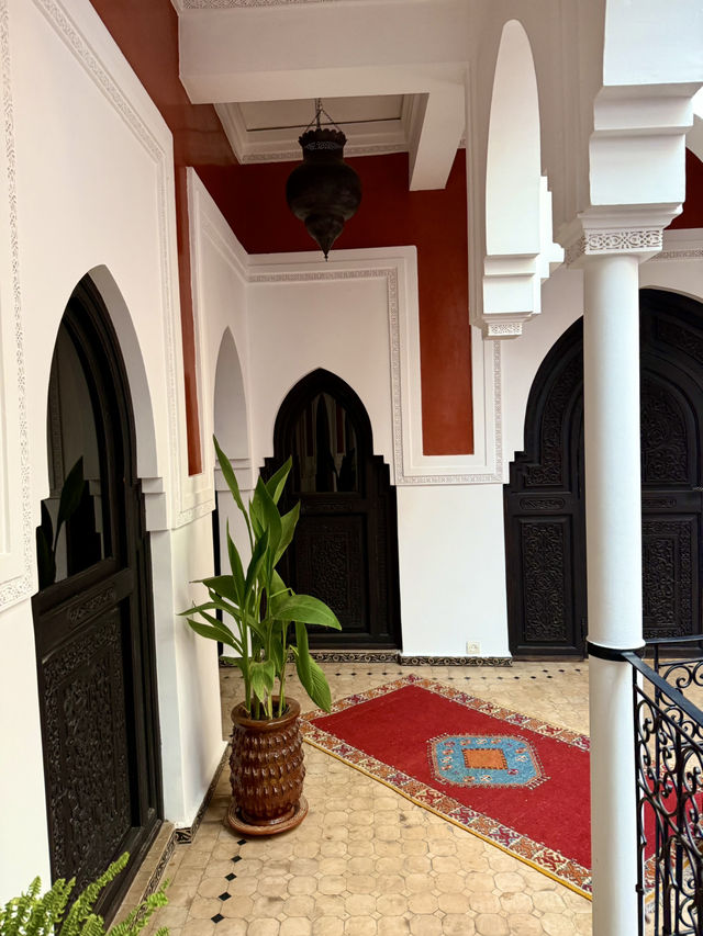 Nights of Lantern Light