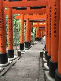 Fushimi Inari: Magical Foxes and Thousands of Tori