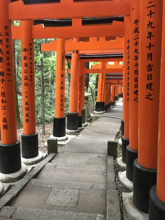 Fushimi Inari: Magical Foxes and Thousands of Tori