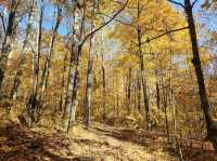 Algonquin Provincial Park