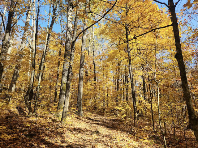 Algonquin Provincial Park Algonquin Provincial Park