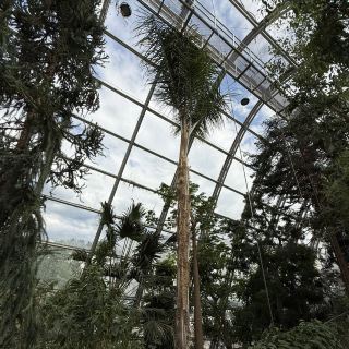 Pesona Keindahan Botani