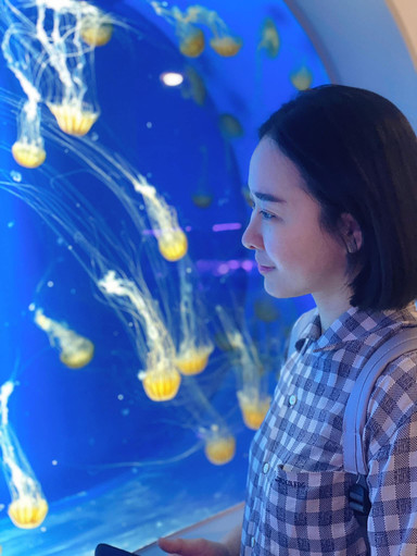Xparkのやんちゃなアザラシと幻想的なクラゲ 。 | Trip.com 桃園