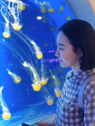 淘氣海豹與夢幻水母在Xpark