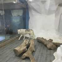 Underwater world Aquarium 