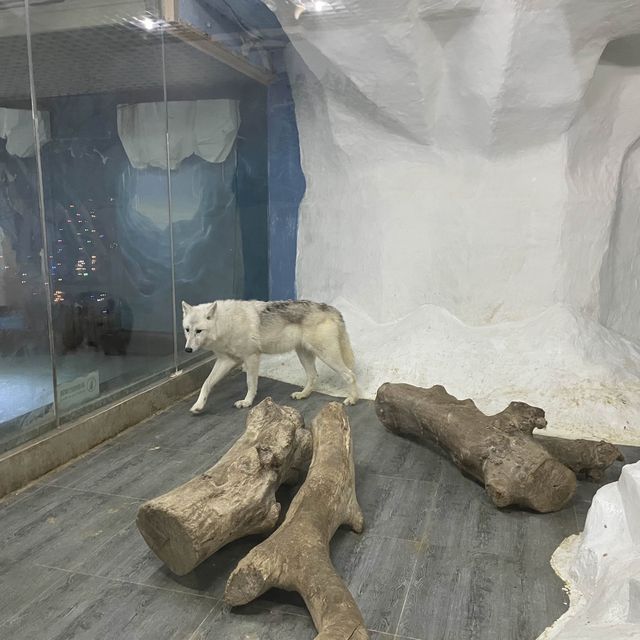 Underwater world Aquarium 