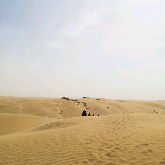 #Ordos Desert #Inner Mongolia #Visit #05/2019