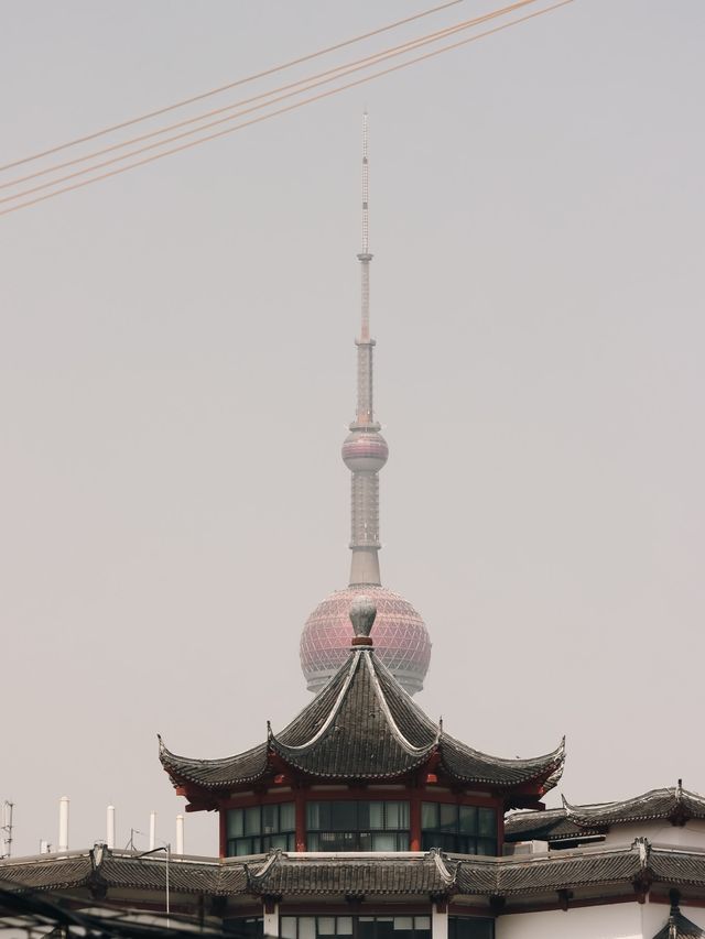 South Henan Road Walking Route, Shanghai❣️🇨🇳