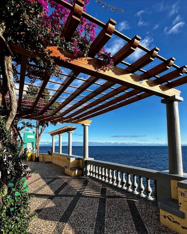 Discover the Enchanting Madeira Islands: Paradise in the Atlantic! 🏝️🌸