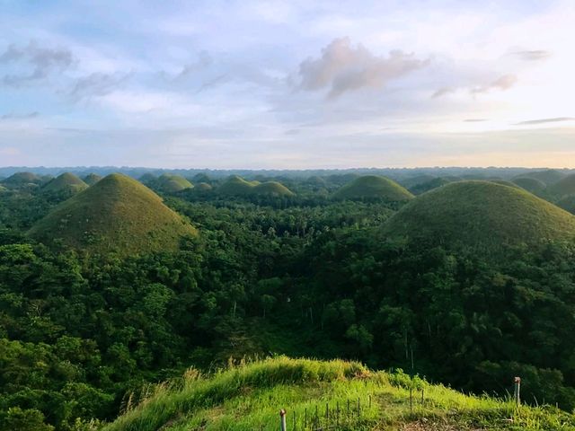 A Wonder to Behold in Bohol 🇵🇭