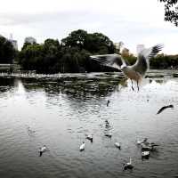 My Kunming highlights 