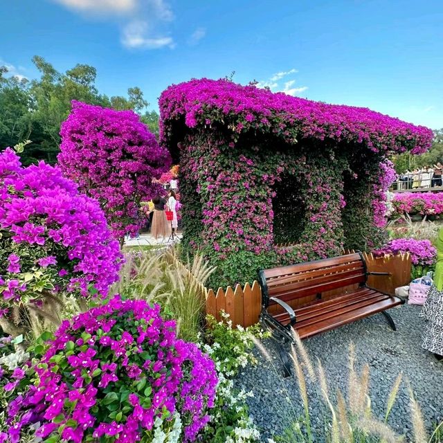 ✨深圳~蓮花山公園🌺✨