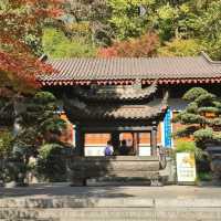 Leifeng pagoda in the autumn colors