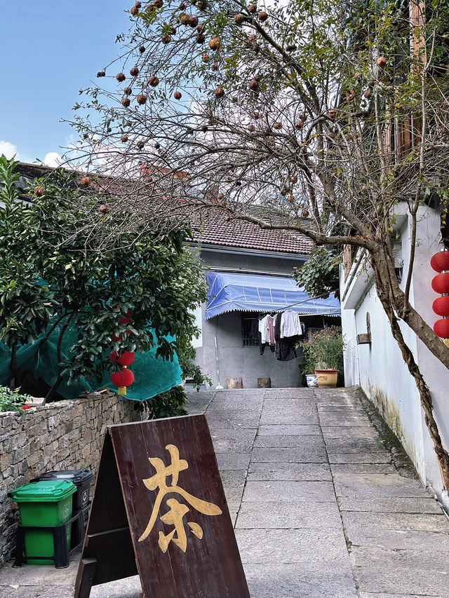 寧波被時光遺忘的古村落太好逛了